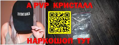 индика Гатчина