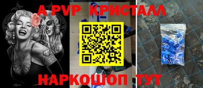 индика Гатчина