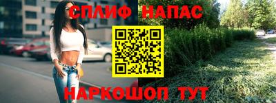 стаф Гагарин