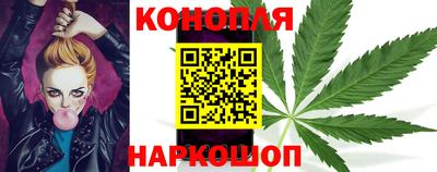 стаф Гагарин