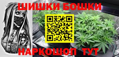 индика Гатчина