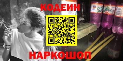 индика Гатчина