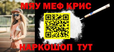 индика Гатчина