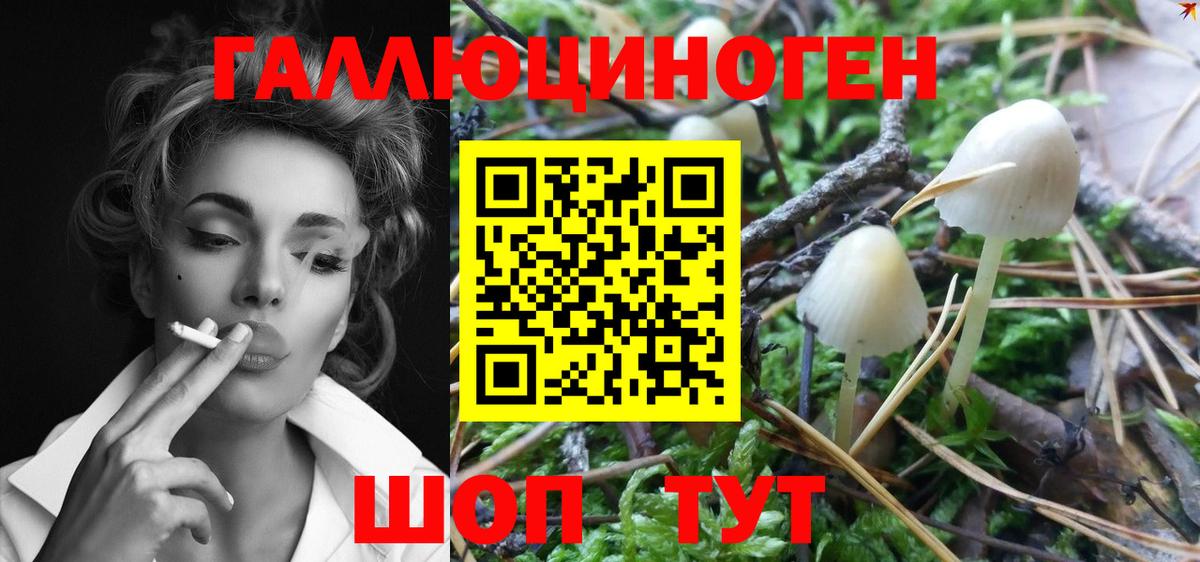 Псилоцибиновые грибы GOLDEN TEACHER  Вход с VPN  Чапаевск 